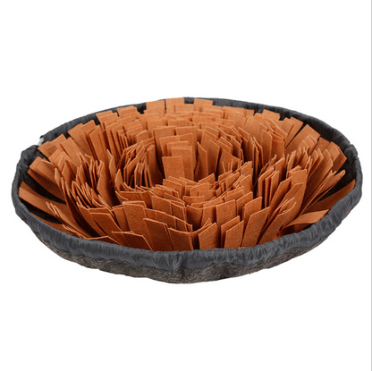 2-in-1 Snuffle Mat & Anti-Choke Slow Feeder Bowl for Dogs
