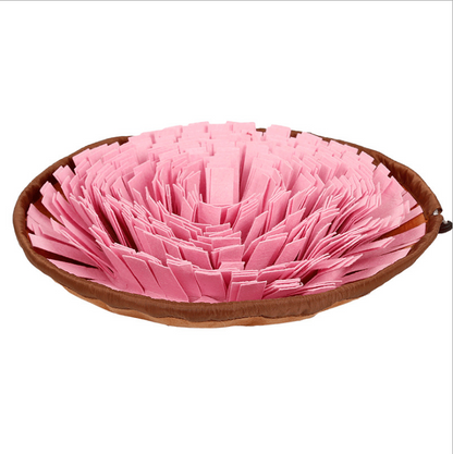 2-in-1 Snuffle Mat & Anti-Choke Slow Feeder Bowl for Dogs