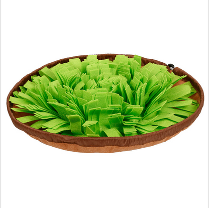 2-in-1 Snuffle Mat & Anti-Choke Slow Feeder Bowl for Dogs