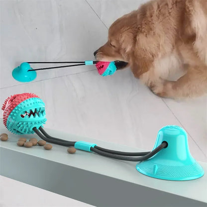 Suction Cup Dog Toy – Interactive Tug & Chew Ball