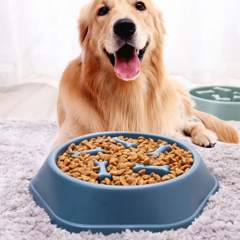 Slow Feeder Dog Bowl – Anti-Gulp Maze Bowl for Fast Eaters