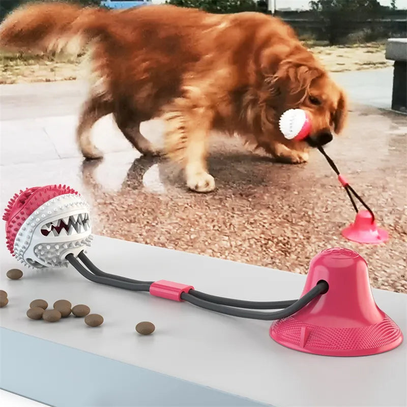 Suction Cup Dog Toy – Interactive Tug & Chew Ball