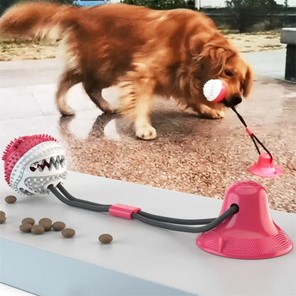 Suction Cup Dog Toy – Interactive Tug & Chew Ball