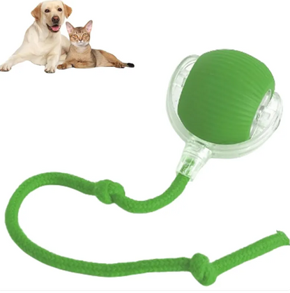 Smart Rolling Pet Ball – Automatic Interactive Cat Toy