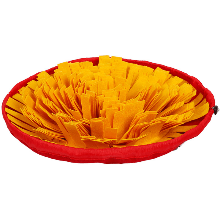 2-in-1 Snuffle Mat & Anti-Choke Slow Feeder Bowl for Dogs