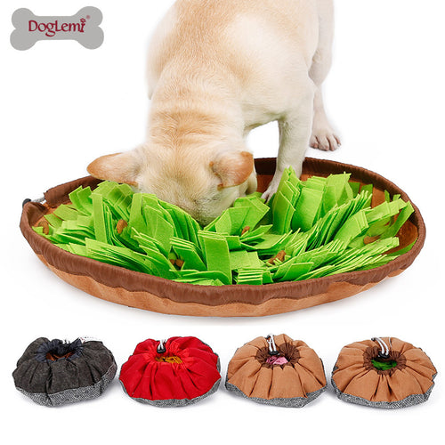 2-in-1 Snuffle Mat & Anti-Choke Slow Feeder Bowl for Dogs