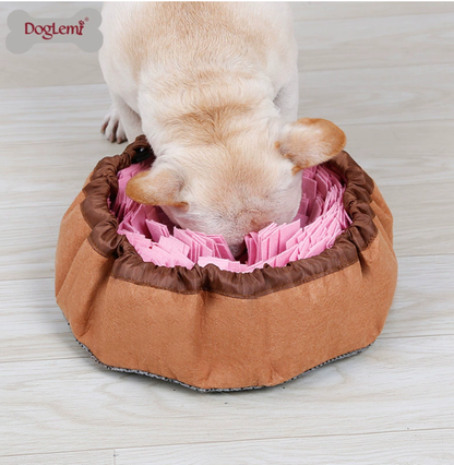 2-in-1 Snuffle Mat & Anti-Choke Slow Feeder Bowl for Dogs