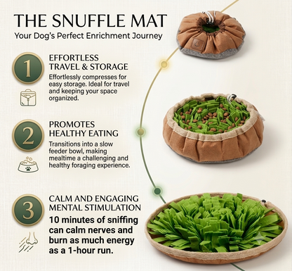 2-in-1 Snuffle Mat & Anti-Choke Slow Feeder Bowl for Dogs
