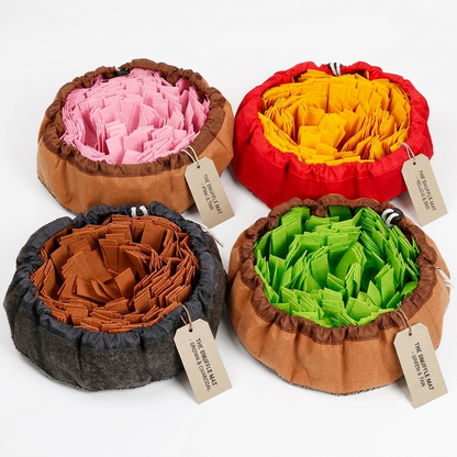 2-in-1 Snuffle Mat & Anti-Choke Slow Feeder Bowl for Dogs