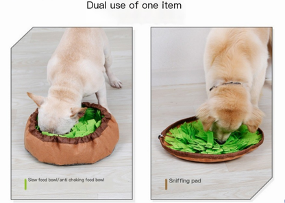 2-in-1 Snuffle Mat & Anti-Choke Slow Feeder Bowl for Dogs