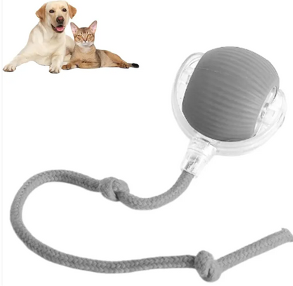 Smart Rolling Pet Ball – Automatic Interactive Cat Toy